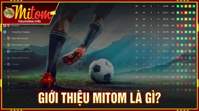 Chi tiết hướng dẫn cách sử dụng Mitom TV cực đơn giản